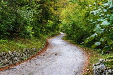 Obraz premium Bavšica Valley road in Triglav National Park, Bovec, Julian Alps. Slovenia, Central Europe