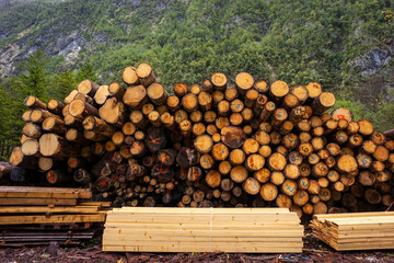 logs for wood, Soča river valley. Bovec, julian alps. Slovenia, Central Europe,