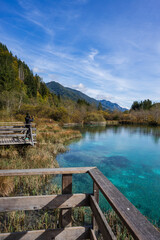 Zelenci Nature Reserve, Drni Swamp, Triglav National Park, Julian alps. Slovenia, Central Europe,