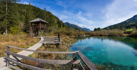 Zelenci Nature Reserve, Drni Swamp, Triglav National Park, Julian alps. Slovenia, Central Europe,
