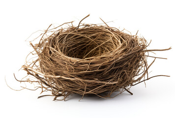 a birds nest is shown on a white background, in the style of tumblewave created with Generative Ai