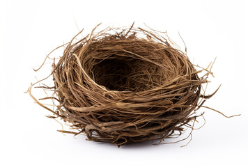 a birds nest is shown on a white background, in the style of tumblewave created with Generative Ai