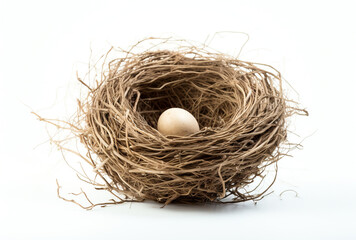 a birds nest is shown on a white background, in the style of tumblewave created with Generative Ai
