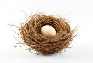 a birds nest is shown on a white background, in the style of tumblewave created with Generative Ai