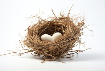 a birds nest is shown on a white background, in the style of tumblewave created with Generative Ai