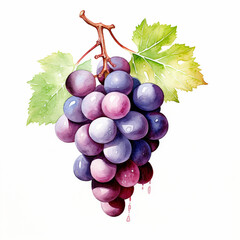 Fototapeta premium image of a grapes with an artistic watercolour style, isolated white background created with Generative Ai