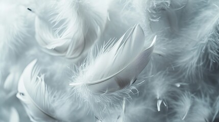 Abstract fluffy white feathers fell on the pile