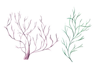 Sea underwater plants, corals. Weed, polyps. Marine fauna and flora. Ocean worlds. Watercolor illustration. Design shops, print, card or book or logo