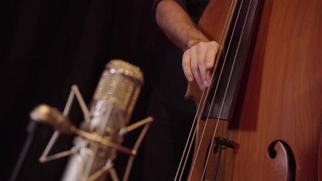 Contrabass Mastery: Expressive Hands Crafting Harmonies