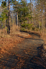 Hiking trail in winter during sunrise in Charlotte, North Carolina.
