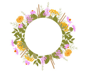 Medicinal Herbs and wild flowers round frame. Beautiful horizontal floral backdrop decorated with yellow and pink wild meadow blooming flowers.