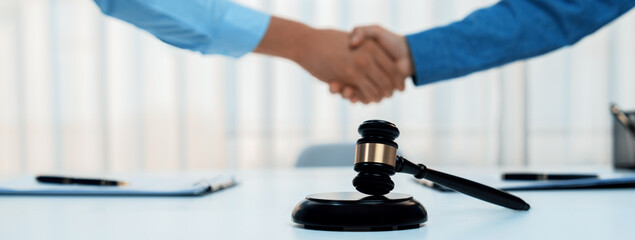 Businessman and corporate lawyer make successful deal with handshake in law firm office. Attorney...