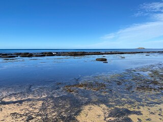 Shoreline at low tide covered with moss and lichen. Sand, pebbles and wet rocks at the edge of the ocean where the water has receded. Bay with blue sky and mountains in the distance.