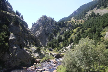 landscape in the mountains
