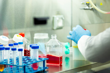 cell culture at the medicine  medical and cell culture laboratory