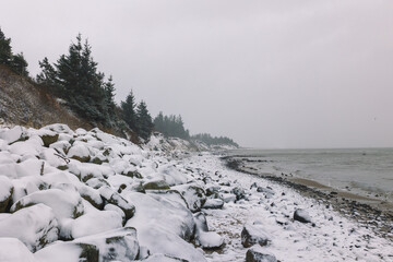 Schnee Landschaft am Meer Dünen Wald