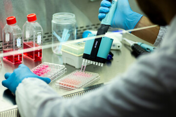cell culture at the medicine  medical and cell culture laboratory