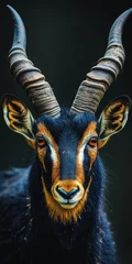 Foto op Canvas Giant sable antelope © Fatih