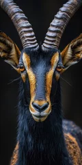 Fotobehang Giant sable antelope © Fatih