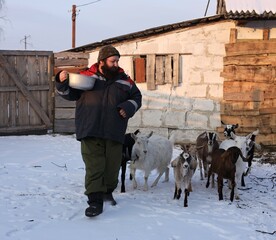 Farmer with Nubian goats in a paddock in winter