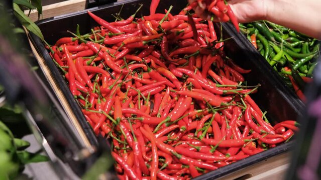 Close-up of hands of female choosing chilli pepper on the shelf at grocery store, slow motion. Buying spices for food preparation