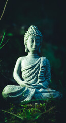 Tranquil Buddha Meditation Amidst Verdant Forest Serenity