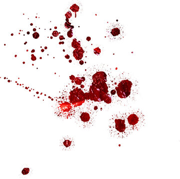 blood drops  Isolated on white background. blood drops png. png blood . flowing blood png . blood splatter background