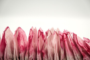 Used pink tea bags are dried in a row on white background. Sorting waste at home, recycling, composting