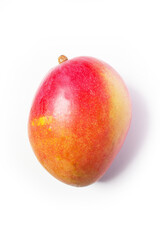 Mango Tommy isolated on white background 