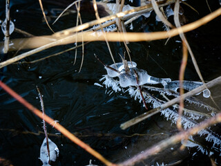 Bizarre Formen im Eis an einem zugefrorenen See