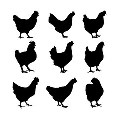 Chicken silhouette or hen silhouettes vector illustration pack