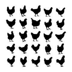 Chicken silhouette or hen silhouettes vector illustration pack