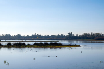 reflection in the water