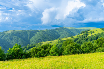 Obraz premium Carpathians mountains landscapes from green meadow on sunset, Apetska mountain, Ukraine