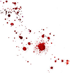 blood drops  Isolated on white background. blood drops png. png blood . flowing blood png . blood splatter background