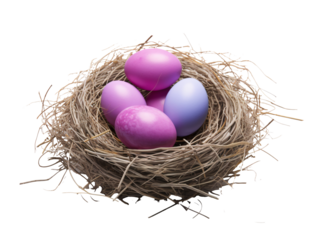 a nest with eggs in it