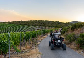 Schilderijen op glas Row of buggy vehicles on road during a tour through the vineyards of Korcula Island in Croatia © Wirestock