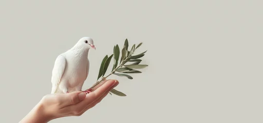Fotobehang White dove with an olive branch, symbol of peace. © Татьяна Креминская