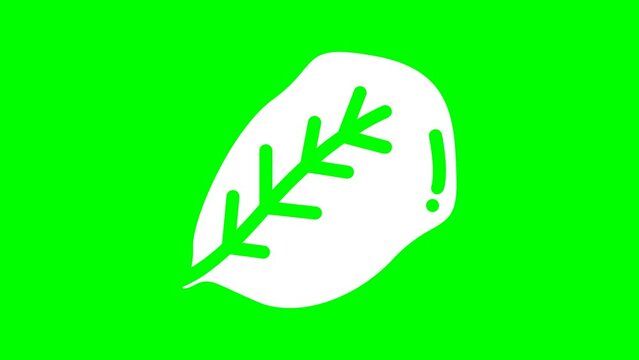 Leaf Animation 