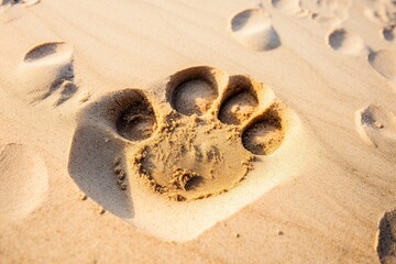 Silhouette of a dog paw print on beach sand