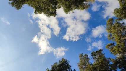 Obraz premium clouds and sky