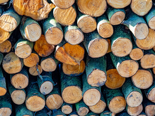 Kleiner Brennholzstapel © focus finder