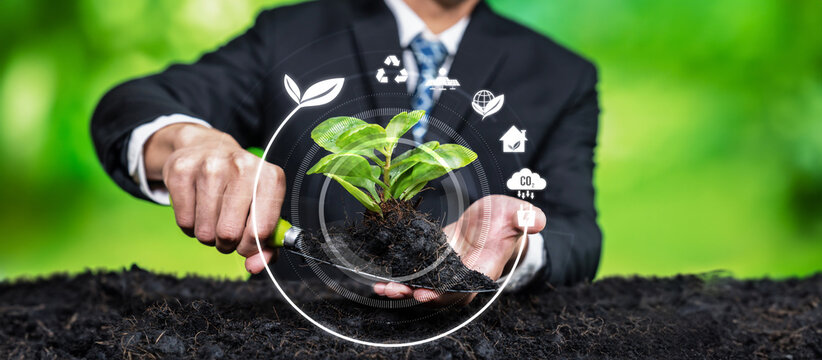 Businessman nurturing plant with eco design icon symbolize commitment to environmental business, growing plant to reduce carbon emission for sustainable future. Panorama Reliance