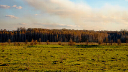 Expansive grassy area leading to a dense woodland.