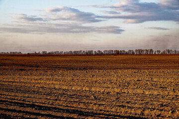 Ploughed agricultural land under a partly cloudy sky at dusk.