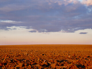 A vast barren land with scattered rocks under a cloudy sky.