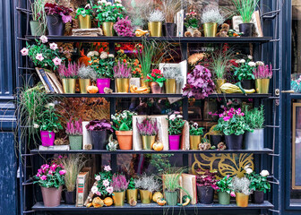 Pots with flowers on the shelf of Flower shop on the street in Paris, France, beautiful colorful flowers, spring or summer outdoor, bright travelling, selective focus