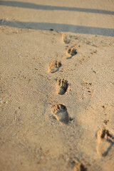 footprints on the sand of Indrayanti beach