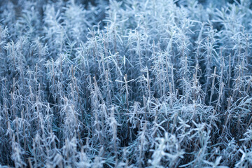 table on space background to demonstrate product mockup