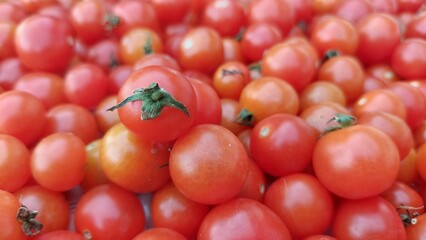 Smaczne pomidory koktajlowe. - obrazy, fototapety, plakaty